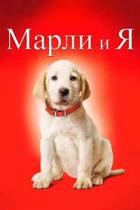 Mapлu u ᴙ